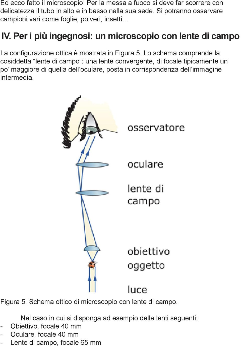 Lo schema comprende la cosiddetta lente di campo : una lente convergente, di focale tipicamente un po maggiore di quella dell oculare, posta in corrispondenza dell immagine