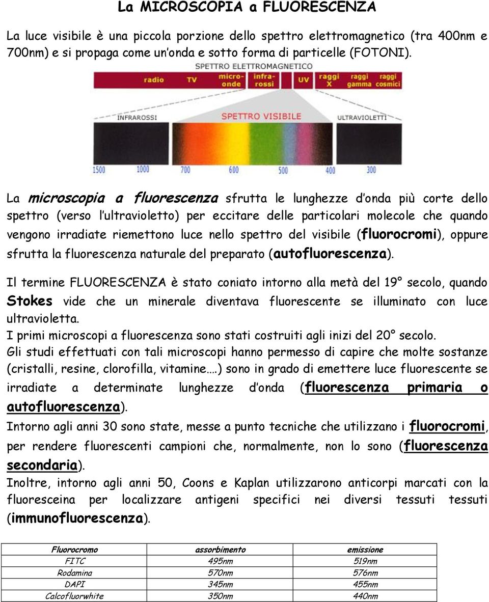 spettro del visibile (fluorocromi), oppure sfrutta la fluorescenza naturale del preparato (autofluorescenza).