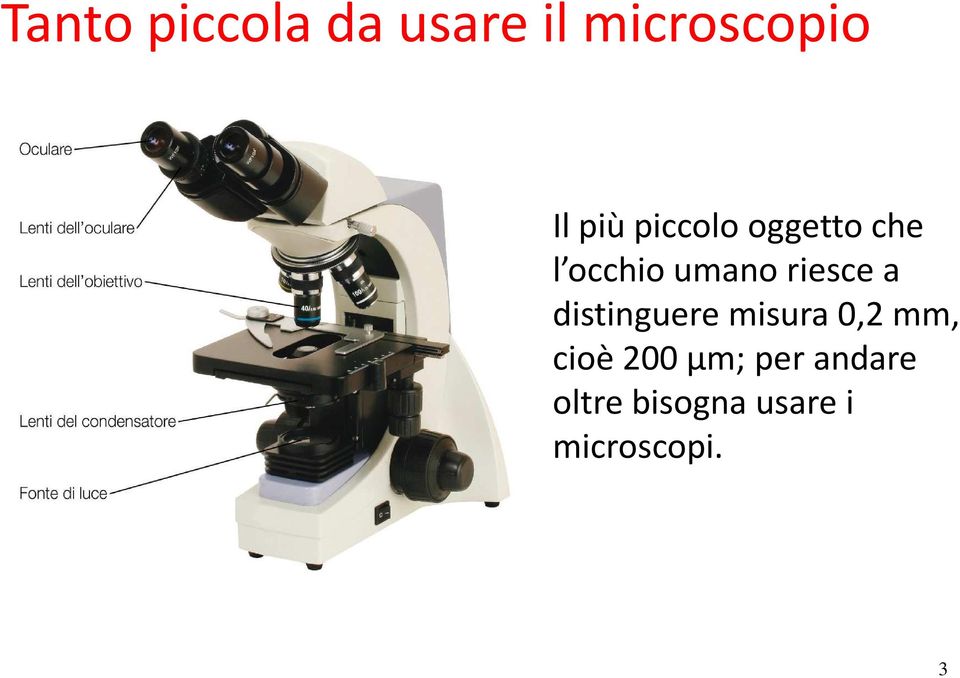 riesce a distinguere misura 0,2 mm, cioè