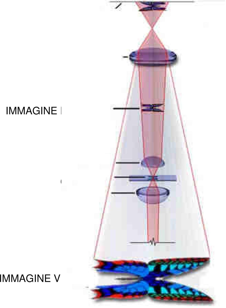 INTERMEDIA I