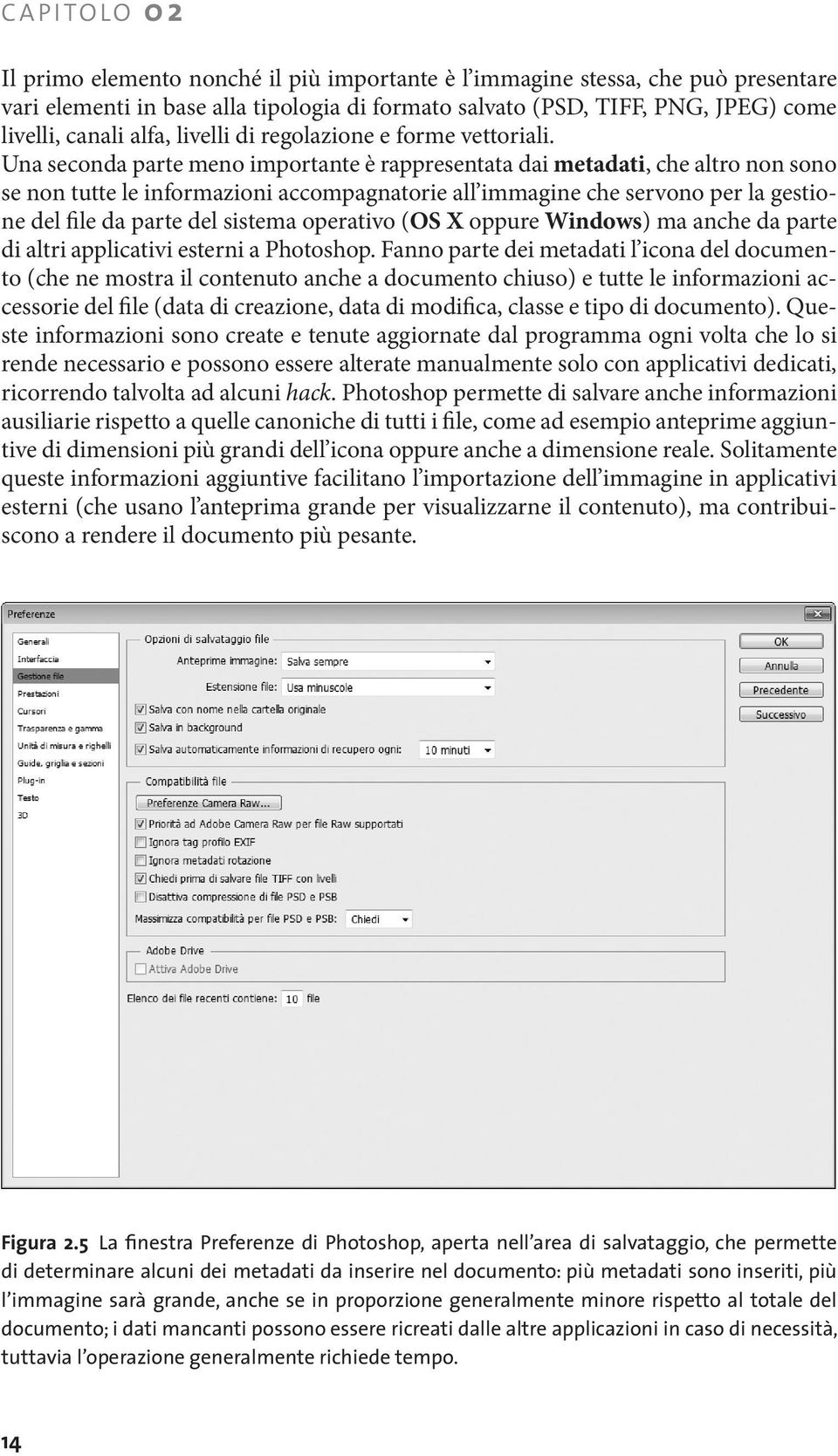 Una seconda parte meno importante è rappresentata dai metadati, che altro non sono se non tutte le informazioni accompagnatorie all immagine che servono per la gestione del file da parte del sistema