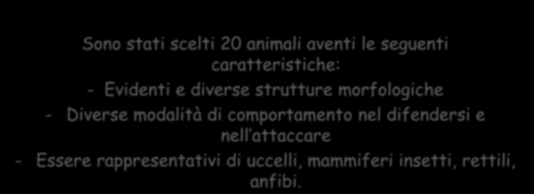 organizzazione dell attivita Sono stati scelti 20 animali aventi le seguenti caratteristiche: - Evidenti e diverse strutture morfologiche