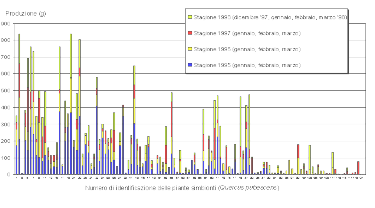 SPERIMENTAZIONE Rigenerazione di vecchie