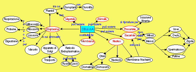 Una mappa serve per orientarsi in un percorso (oppure costruirlo) (mappa del