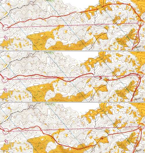 Particolare di mappa con partenza e primo punto Diverse interpretazioni dello stesso percorso Orienteering, sport dei boschi L Orienteering consiste nel raggiungere una sequenza di punti situati in