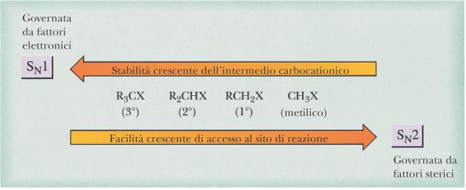 CONFRONTO FRA: SN2 Cinetica del secondo ordine Completa inversione stereochimica