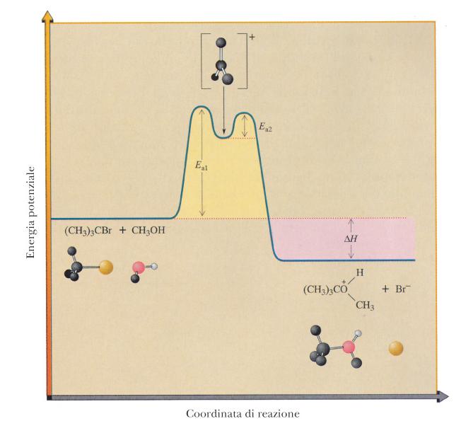 V = k [Sub] La reazione SN1 è favorita da solventi a elevato potere ionizzante,