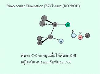 Reazione di eliminazione E2 E una reazione bimolecolare V = k [R-X]