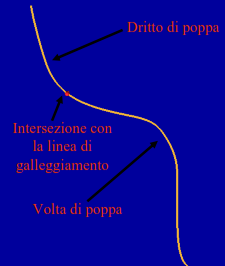 I Ponti della nave In genere le navi sono dotate di diversi ponti, aventi caratteristiche differenti a seconda della loro funzione; Il Ponte principale, detto anche Ponte di bordo libero, è il ponte