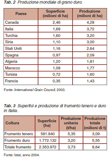 Situazione italiana Secondo produttore mondiale di frumento duro. Prevale la produzione di frumento duro rispetto al tenero.