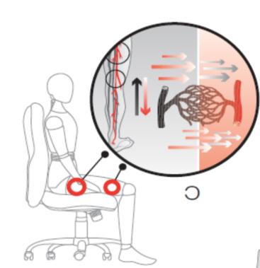 Perché scegliere una Sedia Ergonomica Nell arco della nostra vita, passiamo ore, giorni, anni, seduti.