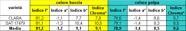 Tra le tipologie a buccia bianca si evidenzia una pezzatura marcata per la selezione SAT 17479 rispetto a CLARA.