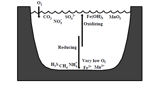 Ossidoriduzioni Reazioni importanti nel controllo della [O 2 ] Stato di soluzione e di dissoluzione dei metalli in acqua Consumo di
