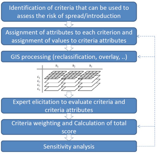 Analytical Hierarchy Process