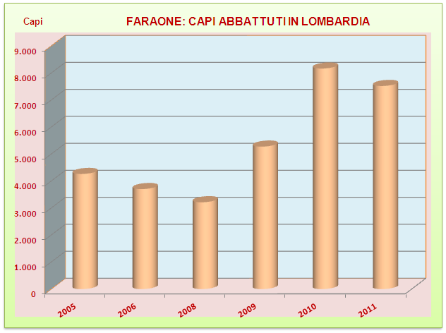 Il mercato delle carni: