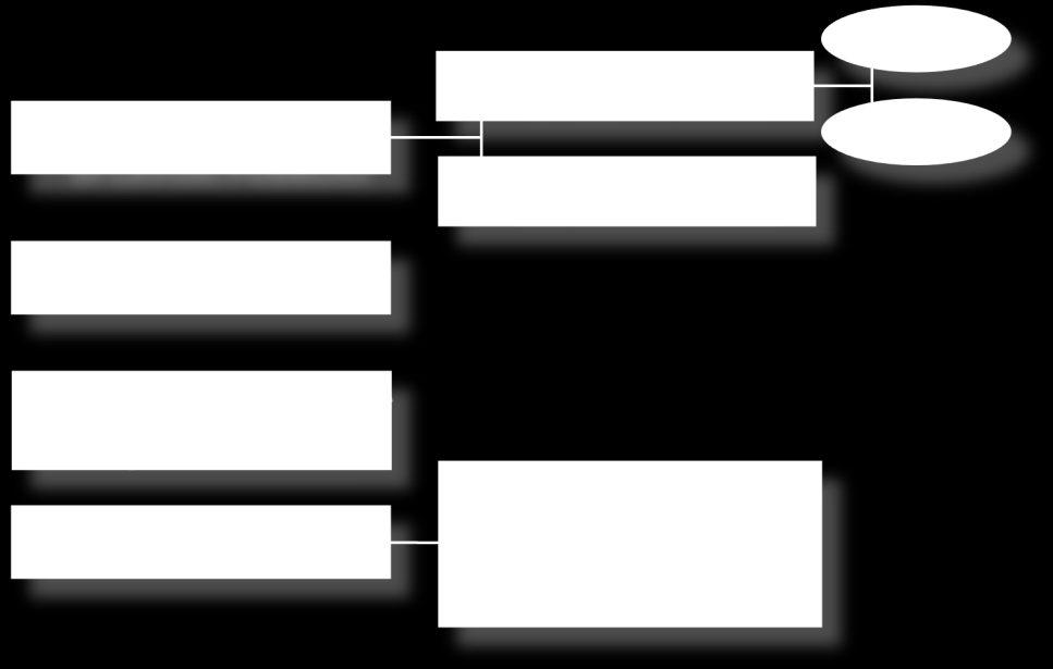 5. DEFINIZIONE E PROCEDURE DI PPP 5.3.1.