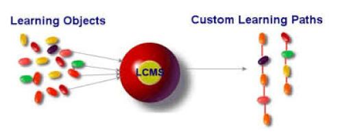 All interno di un LCMS possiamo far rientrare tutte le funzionalità e i servizi che consentono la creazione, la descrizione, l importazione e l esportazione dei contenuti e che permettono quindi il