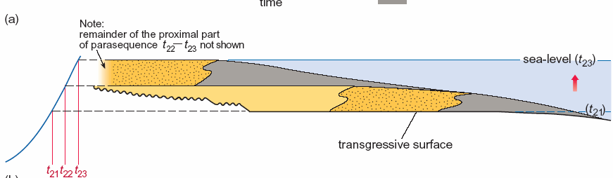 2.4.3 Trasgressive surface (TS) La Trasgressive surface (Fig. 2.10 a,b) è la prima significativa superficie d ingressione marina in una sequenza.