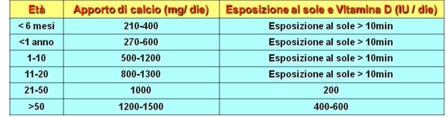 DURANTE IL PERIODO DI CRESCITA DI UN SOGGETTO IL RAGGIUNGIMENTO DEL PATRIMONIO OSSEO È GARANTITO DALLE CELLULE DEL TESSUTO OPPORTUNEMENTE STIMOLATE E NUTRITE ESERCIZIO FISICO CALCIO E VITAMINA D