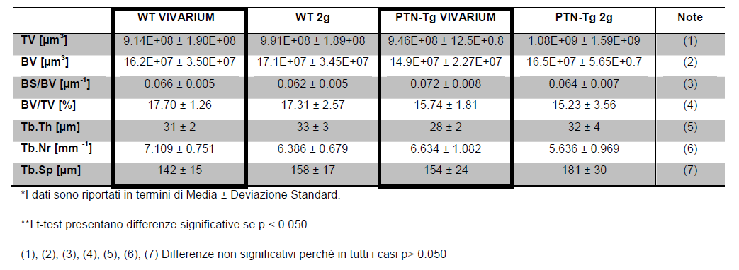 Tabella 6 Parametri morfometrici in femori di topi Wt e PTN-Tg Tabella 7 Parametri morfometrici nelle spine di topi Wt e PTN-Tg Per avere un quadro più chiaro e