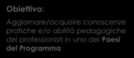 Obiettivo: Aggiornare/acquisire conoscenze pratiche e/o abilità pedagogiche dei professionisti in uno dei Paesi del Programma A chi si rivolge: Al personale degli organismi che operano nell ambito