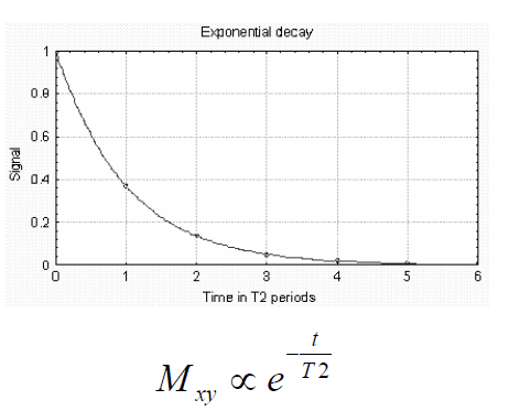 Tale valore è caratteristico della sostanza: una sostanza con T 2 breve perde la sua componente assiale molto velocemente; viceversa quella con T 2 lungo ha bisogno di più tempo per perdere tale