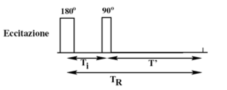 osservano piccole differenze di intensità tra strutture a T 1 lungo e strutture a T 1 breve, per valori di intervallo fra i due impulsi uguali o inferiori al T 1, le differenze di intensità fra