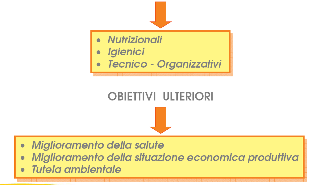 Requisiti Minimi del