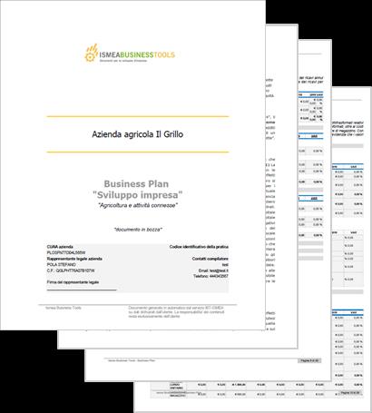 Generazione del documento di business plan in formato PDF Tabelle quantitative presenti nel documento finale: - Conto economico - Stato patrimoniale - Cash flow - Indicatori economici e finanziari