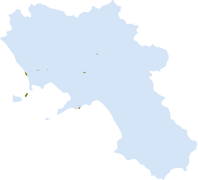 Una buona dotazione «marittima» in Campania - 2 PORTI CON AUTORITÀ PORTUALE (NA E SA) 8,2 milioni di passeggeri all anno di cui 1,5 milioni di crocieristi 34 milioni di tonnellate di merci (il 16%