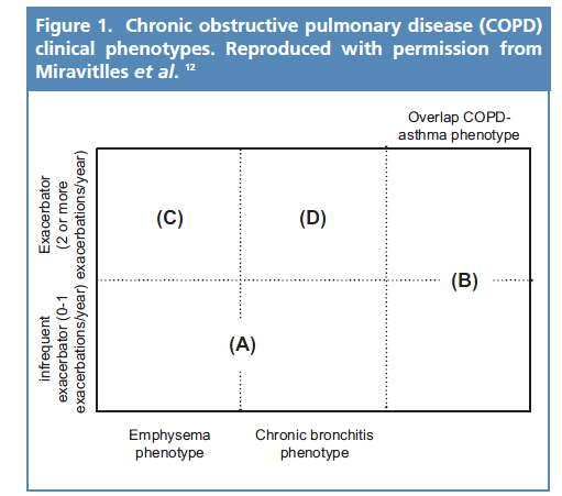 The proposed phenotypes are: (A) infrequent exacerbators with either chronic bronchitis or emphysema; (B) overlap