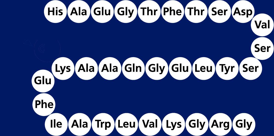 Il GLP-1 nativo è degradato rapidamente dalla dipeptidilpeptidasi-4 (DPP-4) DPP-4 7 9 37 T ½ =1 2 minuti