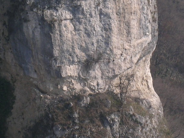I torrioni di Rialba: stato delle conoscenze 14 I Torrioni di Rialba sono costituiti da rocce sedimentarie, in particolare da conglomerato calcareo (materiale eterogeneo con una vasta gamma di clasti