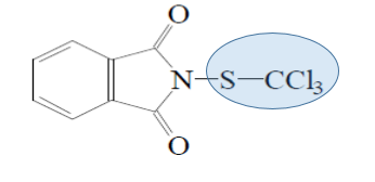 Caratteristiche generali Caratteristiche generali Famiglia chimica Coeff. ripartizione ottanolo/acqua (Log P) Meccanismo d'azione Fungicida di copertura ad azione per contatto Tioftalimidi 3.