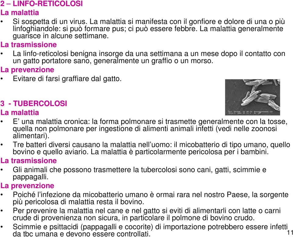 La trasmissione La linfo-reticolosi benigna insorge da una settimana a un mese dopo il contatto con un gatto portatore sano, generalmente un graffio o un morso.