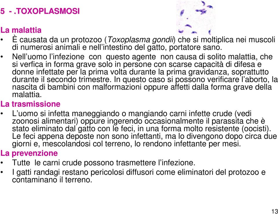 gravidanza, soprattutto durante il secondo trimestre. In questo caso si possono verificare l aborto, la nascita di bambini con malformazioni oppure affetti dalla forma grave della malattia.