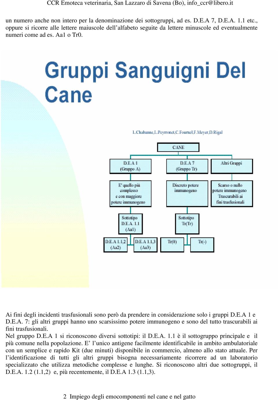 Ai fini degli incidenti trasfusionali sono però da prendere in considerazione solo i gruppi D.E.A 1 e D.E.A. 7: gli altri gruppi hanno uno scarsissimo potere immunogeno e sono del tutto trascurabili ai fini trasfusionali.