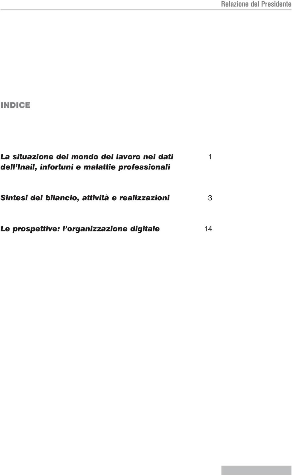 professionali Sintesi del bilancio, attività e