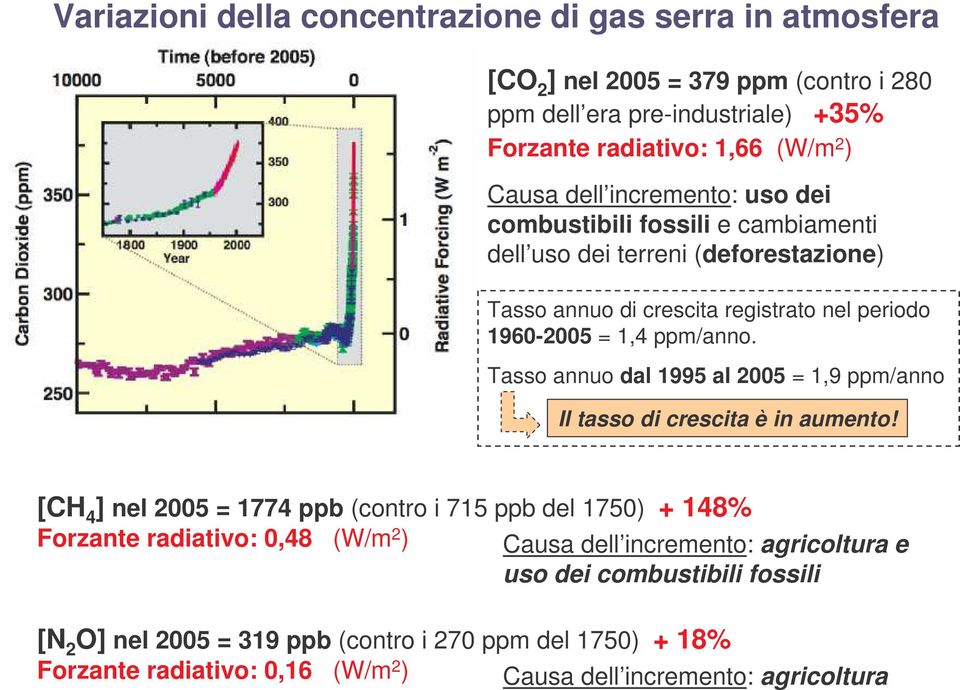 Tasso annuo dal 1995 al 2005 = 1,9 ppm/anno Il tasso di crescita è in aumento!