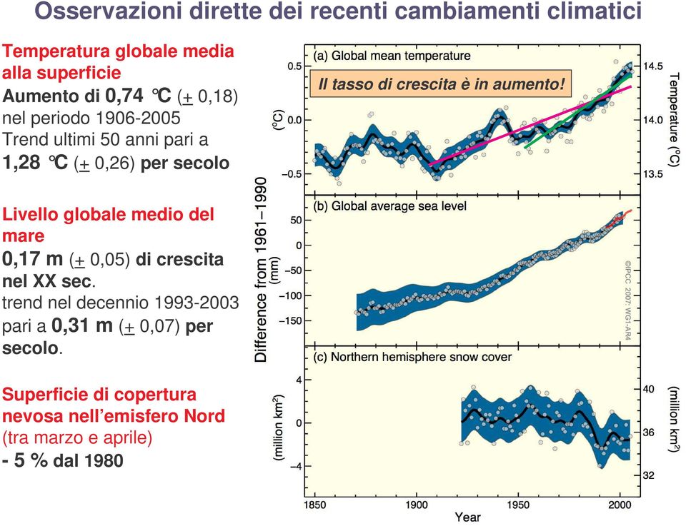 mare 0,17 m (+ 0,05) di crescita nel XX sec. trend nel decennio 1993-2003 pari a 0,31 m (+ 0,07) per secolo.