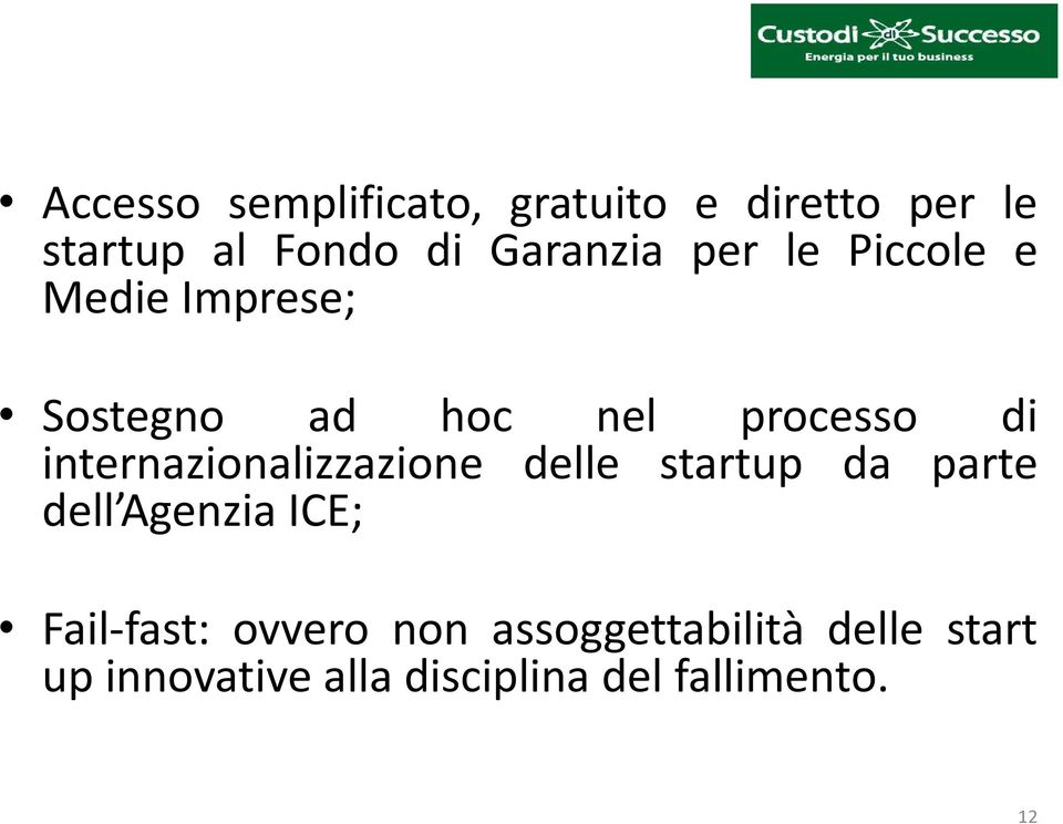 internazionalizzazione delle startup da parte dell Agenzia ICE; Fail-fast: