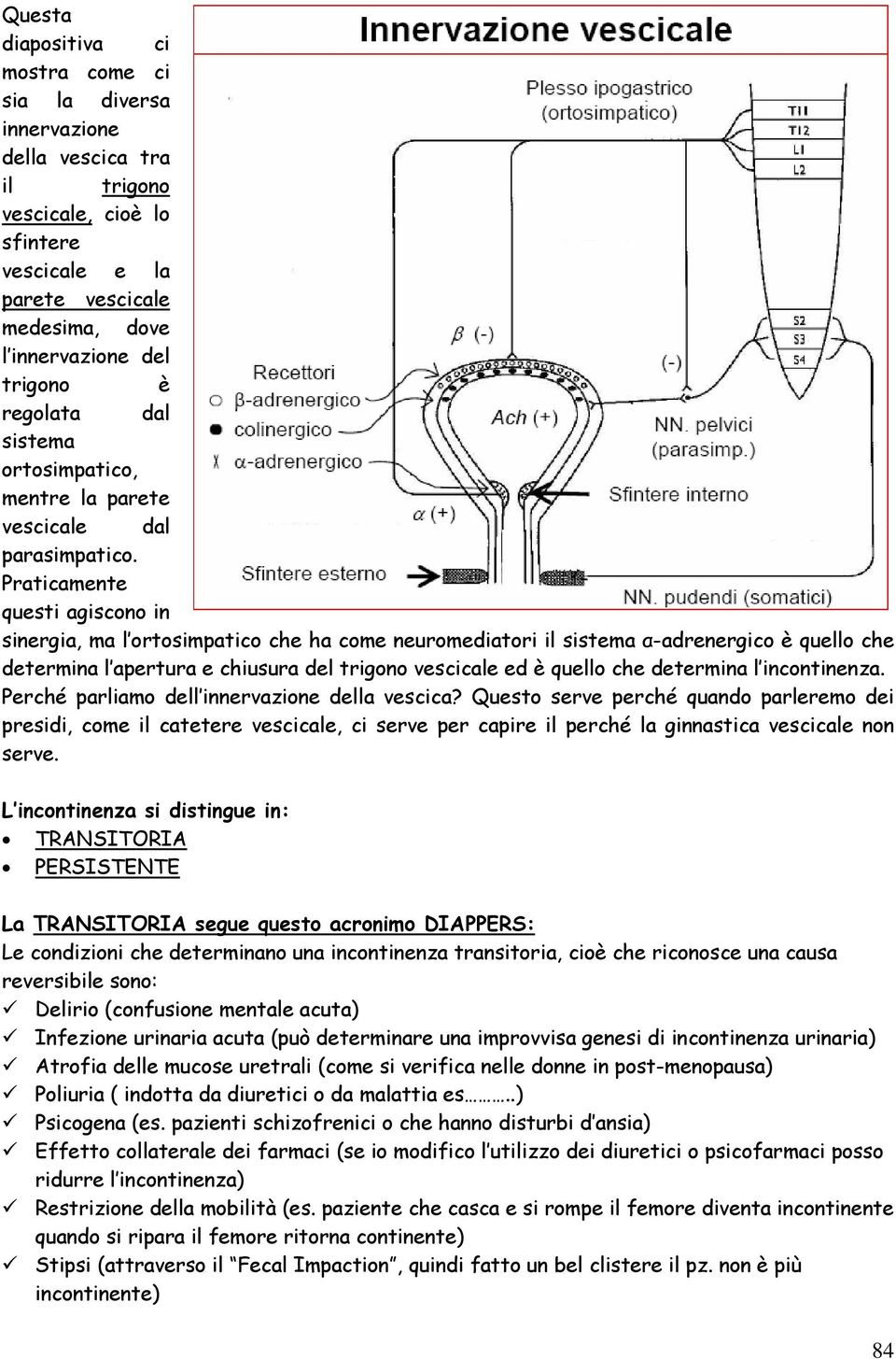 Praticamente questi agiscono in sinergia, ma l ortosimpatico che ha come neuromediatori il sistema α-adrenergico è quello che determina l apertura e chiusura del trigono vescicale ed è quello che