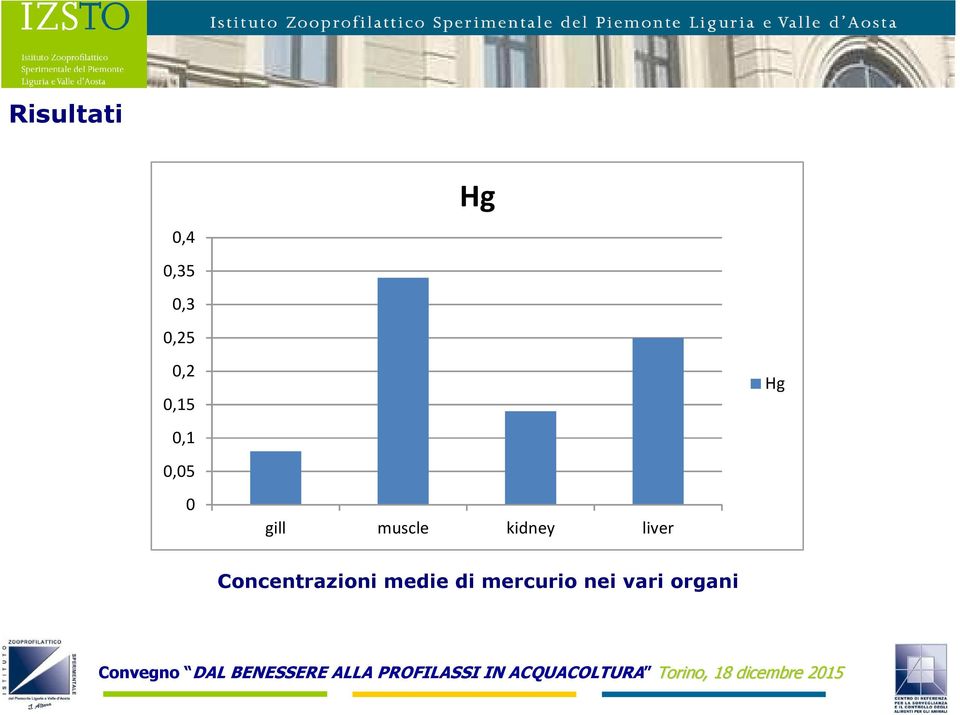 kidney liver Hg Concentrazioni