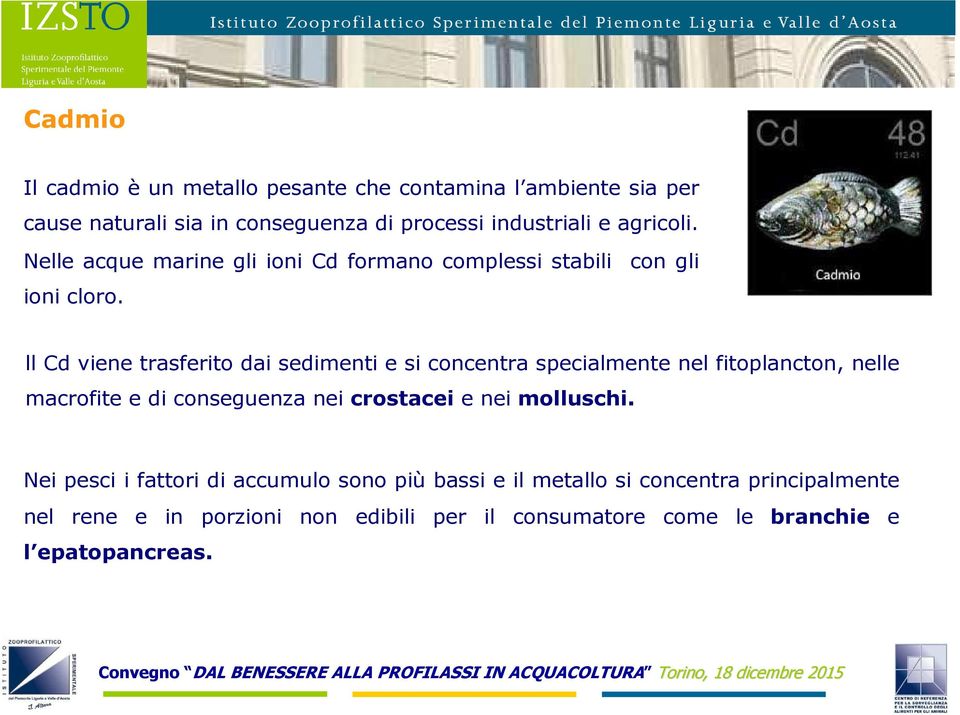 ll Cd viene trasferito dai sedimenti e si concentra specialmente nel fitoplancton, nelle macrofite e di conseguenza nei crostacei e nei