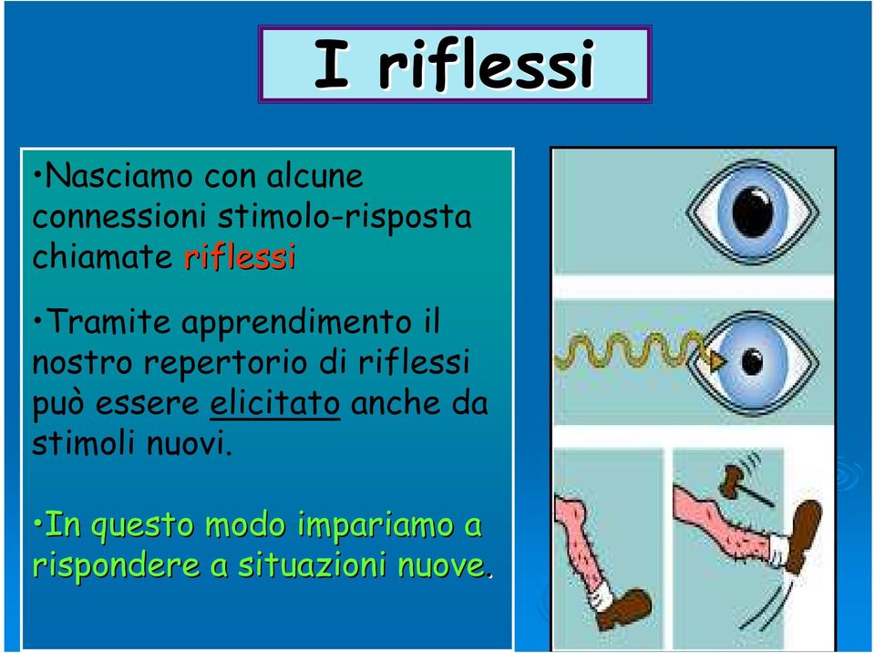 il nostro repertorio di riflessi può essere elicitato