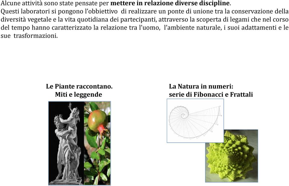 la vita quotidiana dei partecipanti, attraverso la scoperta di legami che nel corso del tempo hanno caratterizzato la