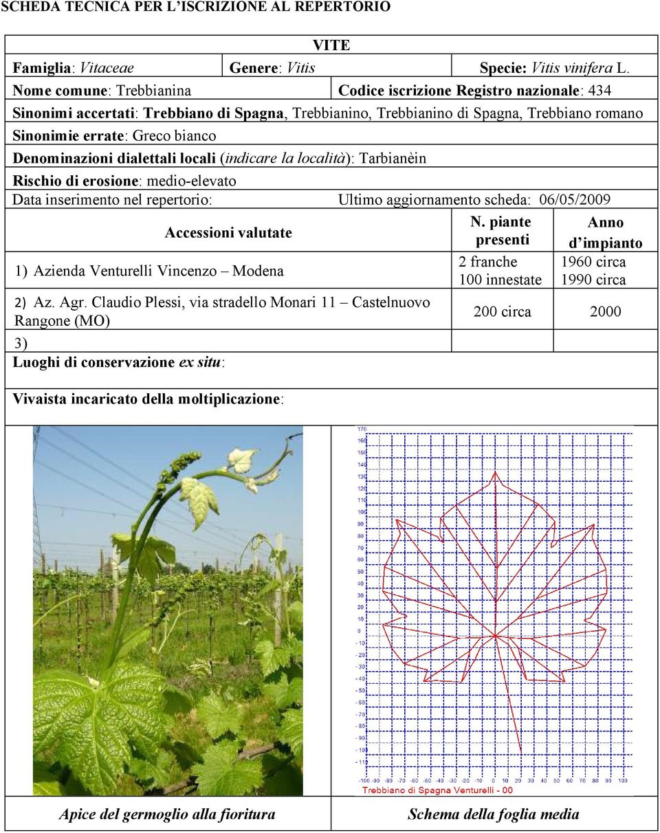 Denominazioni dialettali locali (indicare la località): Tarbianèin Rischio di erosione: medio-elevato Data inserimento nel repertorio: Ultimo aggiornamento scheda: 06/05/2009 Accessioni valutate N.