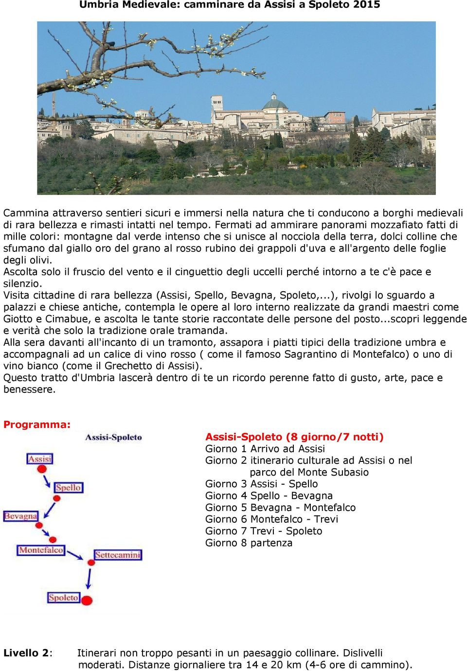 grappoli d'uva e all'argento delle foglie degli olivi. Ascolta solo il fruscio del vento e il cinguettio degli uccelli perché intorno a te c'è pace e silenzio.