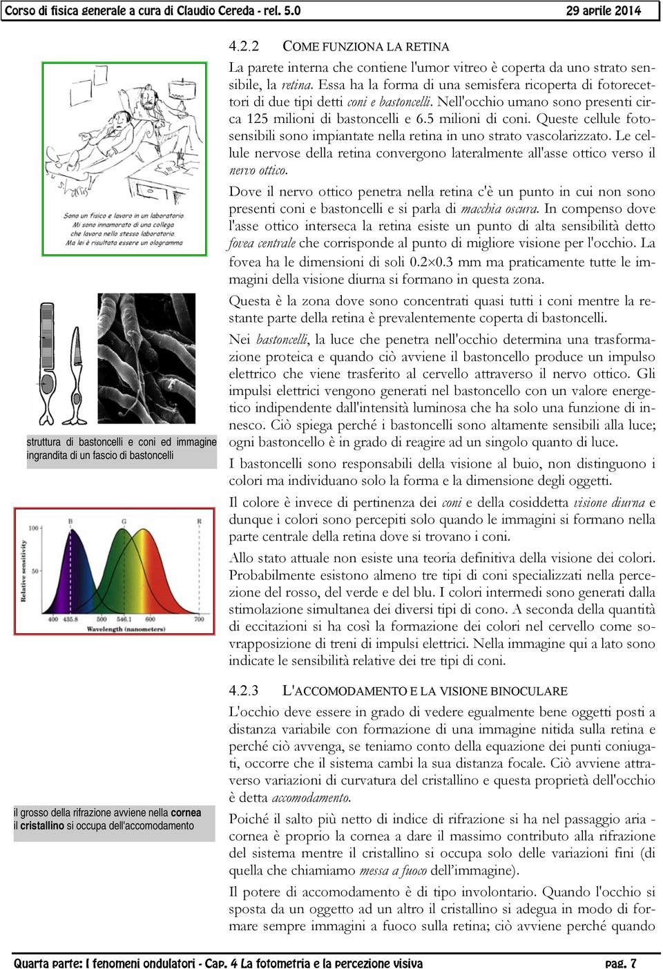 Essa ha la forma di una semisfera ricoperta di fotorecettori di due tipi detti coni e bastoncelli. Nell'occhio umano sono presenti circa 125 milioni di bastoncelli e 6.5 milioni di coni.