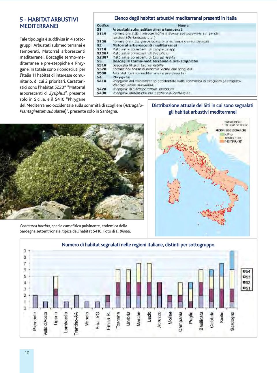 Caratteristici sono l habitat 5220* Matorral arborescenti di Zyziphus, presente solo in Sicilia, e il 5410 Phrygane del Mediterraneo occidentale sulla sommità di scogliere (Astragalo- Plantaginetum